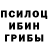 Псилоцибиновые грибы Psilocybine cubensis Danik Cot